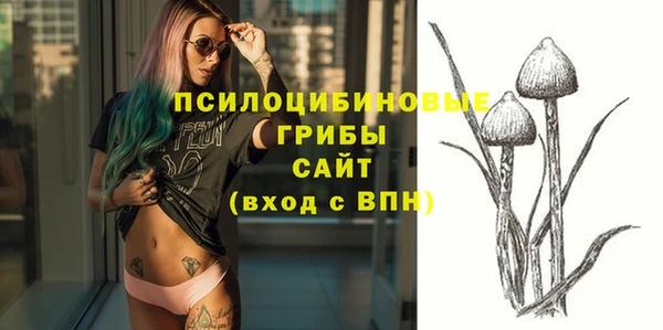 гашик Беломорск