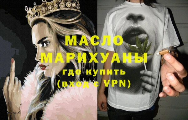 гашик Тайга