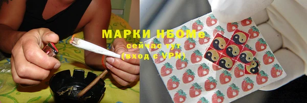стаф Сясьстрой
