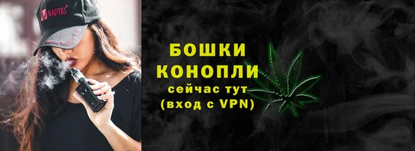 гашик Тайга