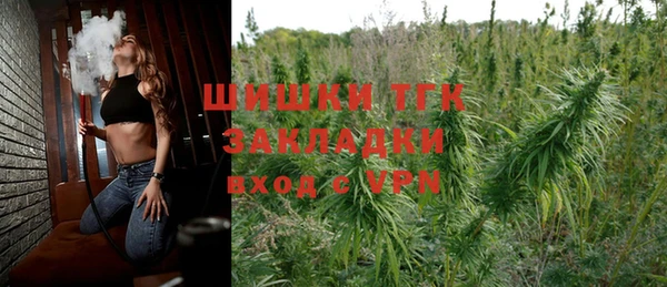 гашик Тайга