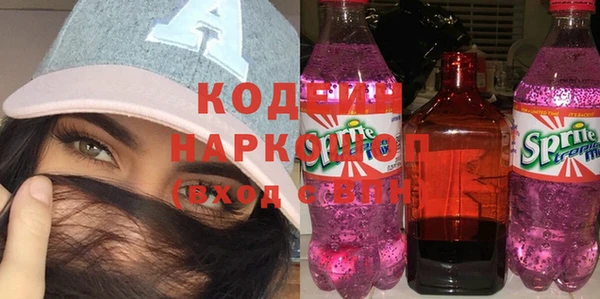гашик Тайга