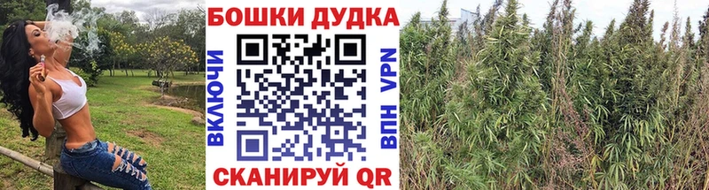 Шишки марихуана планчик  Котельники 